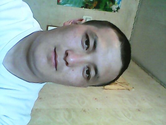  -,   , 38 ,   