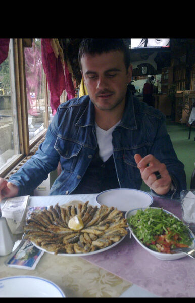  Boyalik,   Berat, 40 ,   ,   
