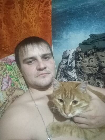  ,   , 38 ,   ,   