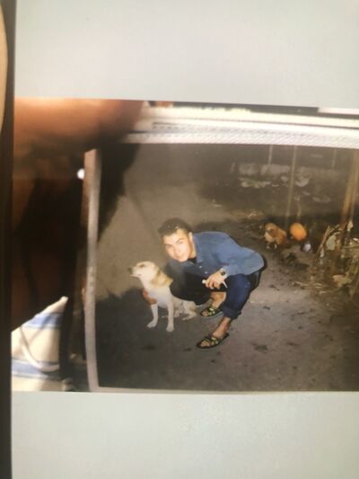  ,   , 46 ,   ,   