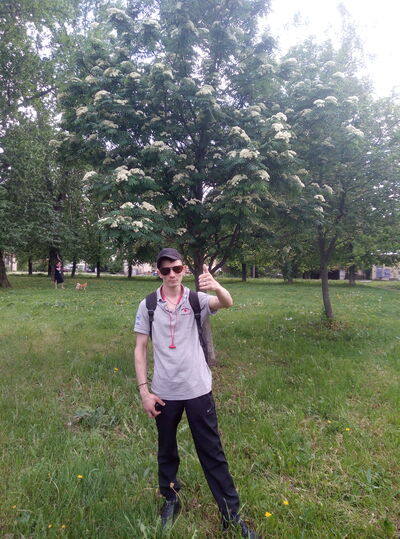  -,   , 31 ,   ,   , c , 