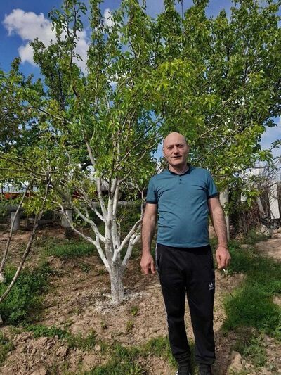  ,   , 52 ,   ,   