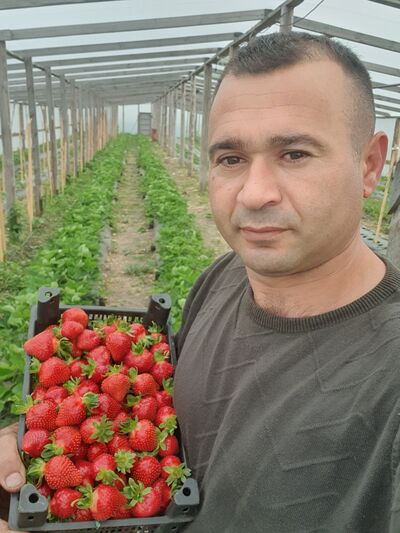  ,   , 35 ,   ,   