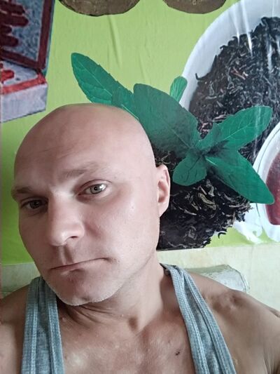  --,   , 40 ,     , c 