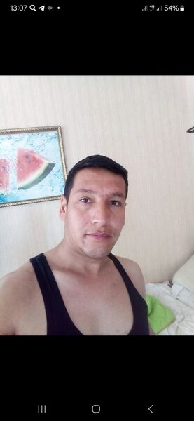  ,   , 38 ,   ,   