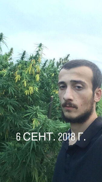  ,   Giorgi, 30 ,   ,   