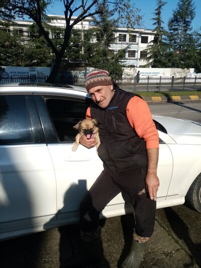  ?,   Kayhan fidan, 52 ,   ,   