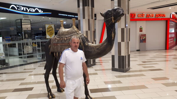  ,   , 45 ,   ,   