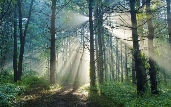  ,   Gennadij, 46 ,   ,   , c 