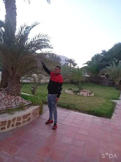  ,    , 41 ,   ,   