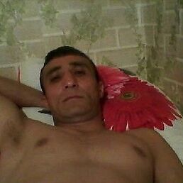  ,   TELMAN, 100 ,   