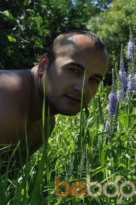  ,   Nikita, 44 ,   ,   , c 