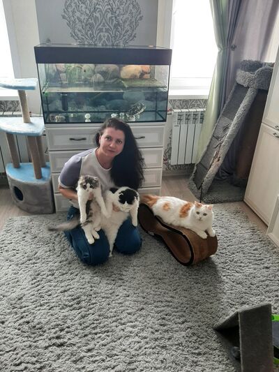  ,   , 46 ,     , c , 