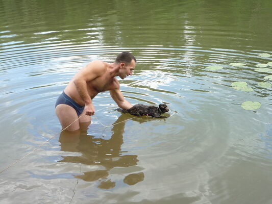  ,   Daniil, 50 ,   ,   , c 