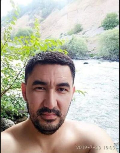  ,   Ali, 41 ,     , c 