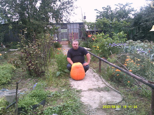  ,   , 47 ,   c 