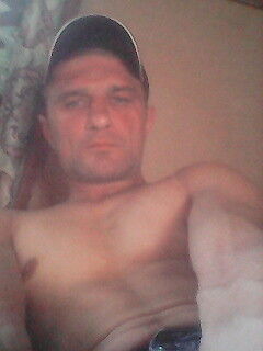  7853685  , 43 ,    