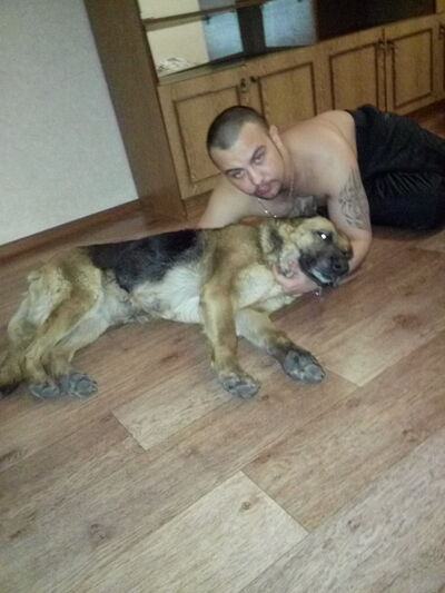  -,   , 38 ,   ,   , c 