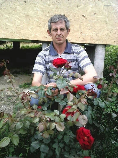  ,   , 55 ,  