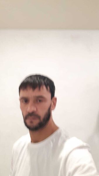  ,   Salmon, 45 ,   ,   , 