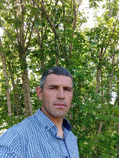  ,   , 41 ,   ,   