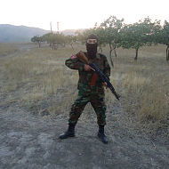 ���������� ������, ���� ������� �������� �, 33 ����, ������������ ��� ������, ����� � ���������, c�������� ���������