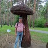  ,  , 65
