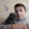   Dima