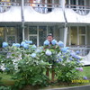   Aleksey