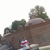   Zaur