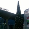   kolusya