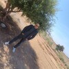  ,  hariri, 52