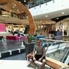  Jelcz,  nika, 36