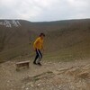   Alexander