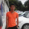   Sargis