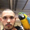  ,  , 31