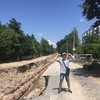   alim