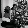  Mysliborz,  , 39