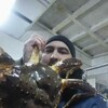   Serdar