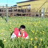   ruslan