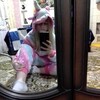  ,  , 24