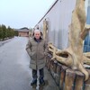   Faruk