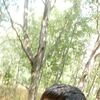 MAKSIM