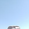  ,  Vitek, 37